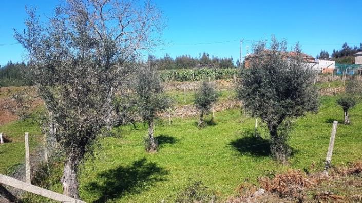 Image No.25-4 Bed Farmhouse for sale