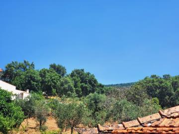 Esfera Real most sold property