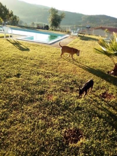 Image No.47-3 Bed House for sale