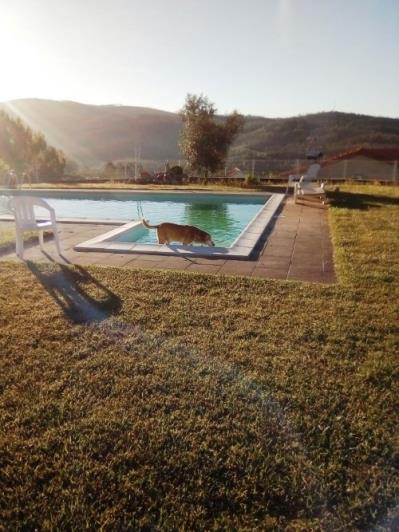 Image No.48-3 Bed House for sale