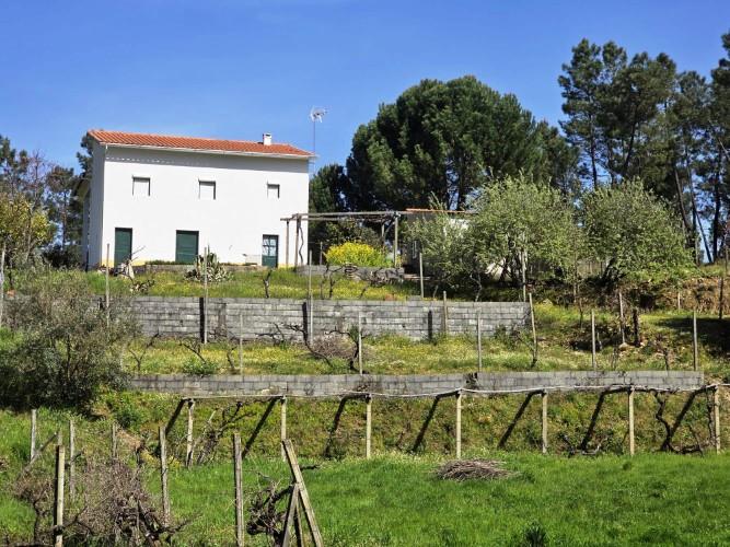 Image No.3-3 Bed Farmhouse for sale