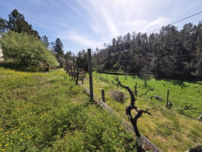 Image No.6-3 Bed Farmhouse for sale