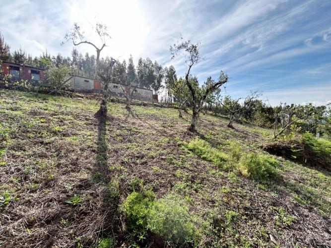 Image No.33-2 Bed Village House for sale