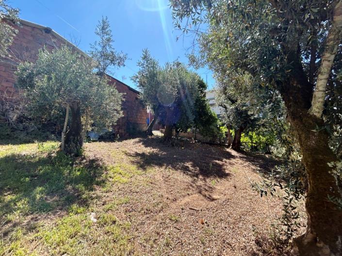 Image No.33-3 Bed Village House for sale