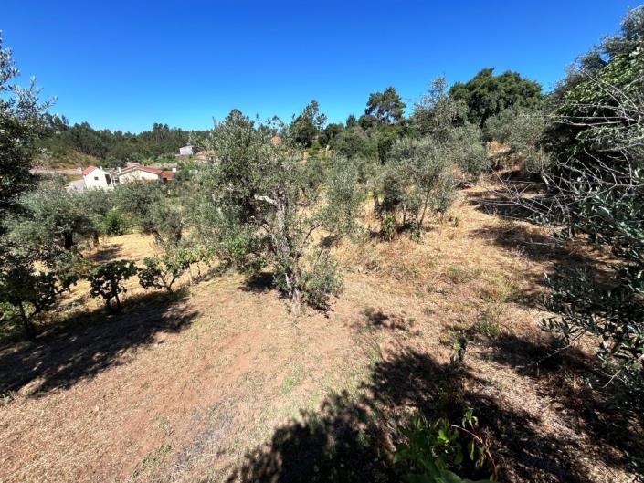 Image No.35-3 Bed Village House for sale