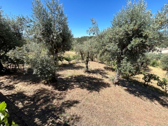 Image No.36-3 Bed Village House for sale