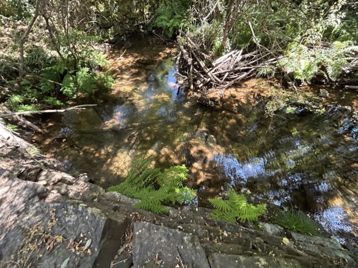 Image No.11-Land for sale