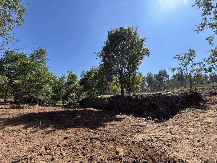 Image No.14-Land for sale