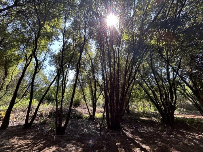 Image No.16-Land for sale