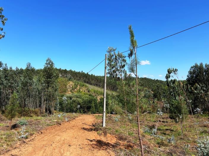 Image No.17-Land for sale