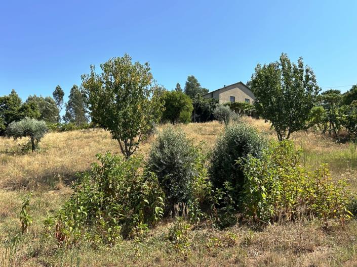 Image No.7-Farmhouse for sale