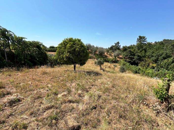 Image No.10-Farmhouse for sale