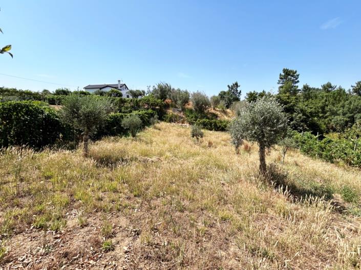 Image No.11-Farmhouse for sale