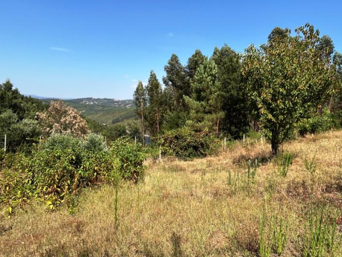 Image No.14-Farmhouse for sale