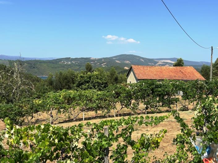 Image No.24-Farmhouse for sale