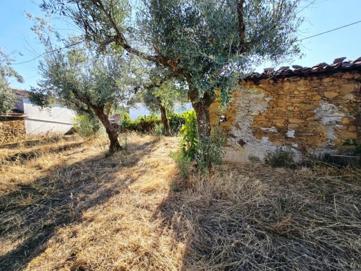 Image No.21-Village House for sale