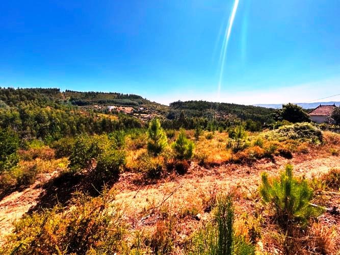 Image No.8-Land for sale