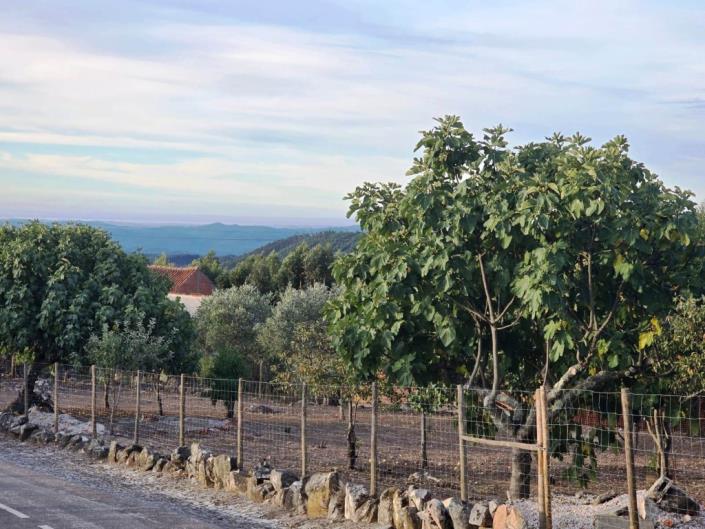 Image No.4-Land for sale