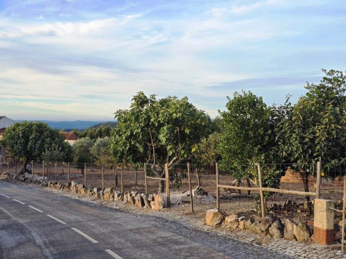 Image No.5-Land for sale