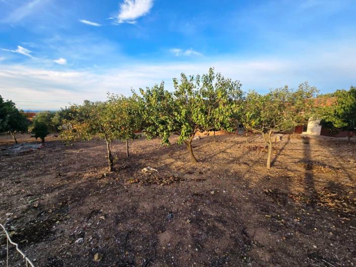 Image No.7-Land for sale