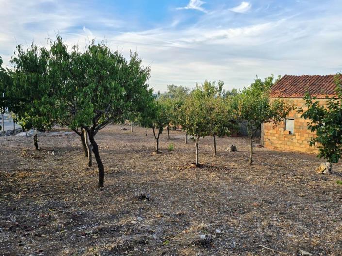 Image No.29-Land for sale