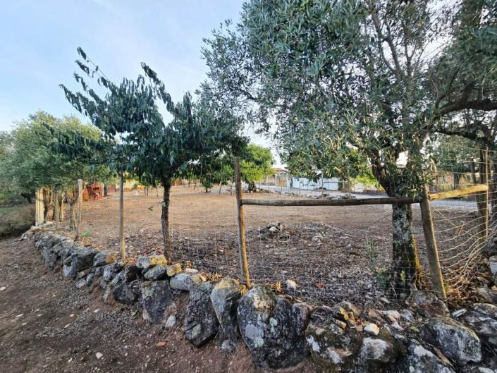 Image No.33-Land for sale