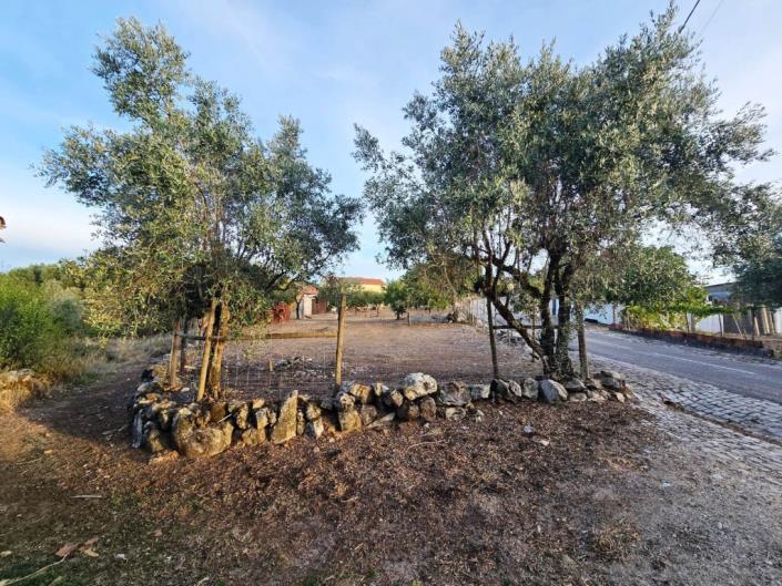 Image No.34-Land for sale