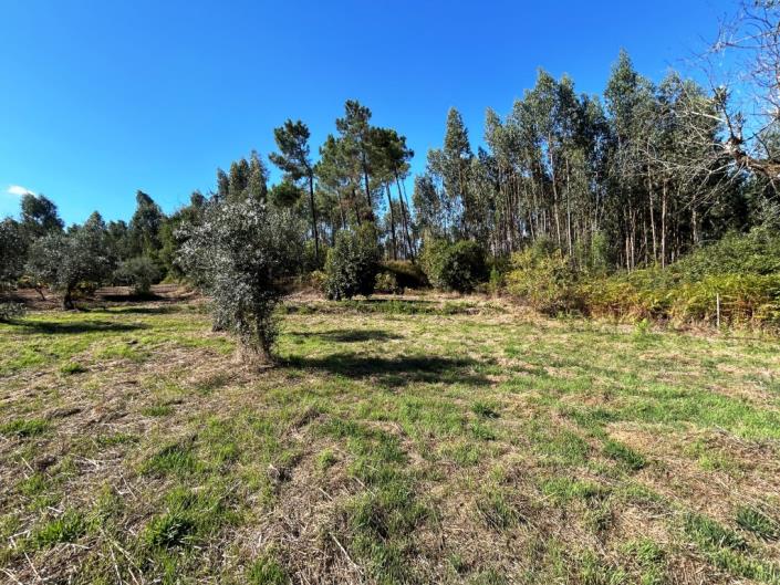 Image No.20-Land for sale