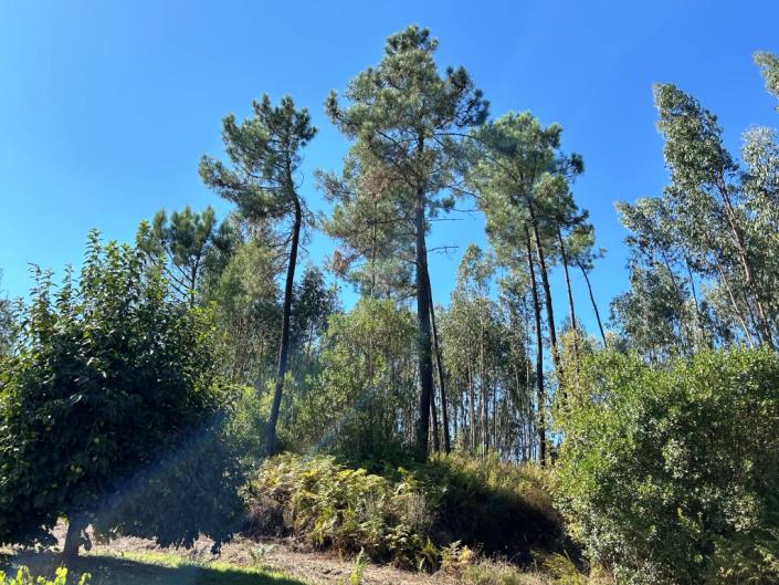 Image No.23-Land for sale