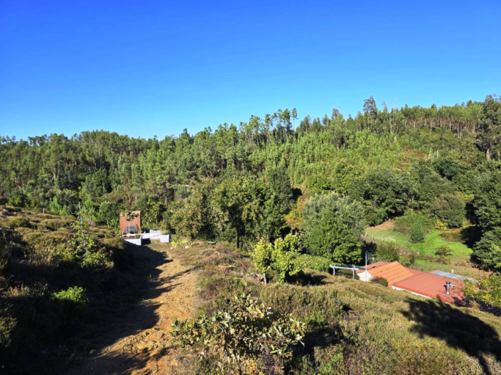 Image No.31-Ferme de 1 chambre à vendre à Pedrógão Grande
