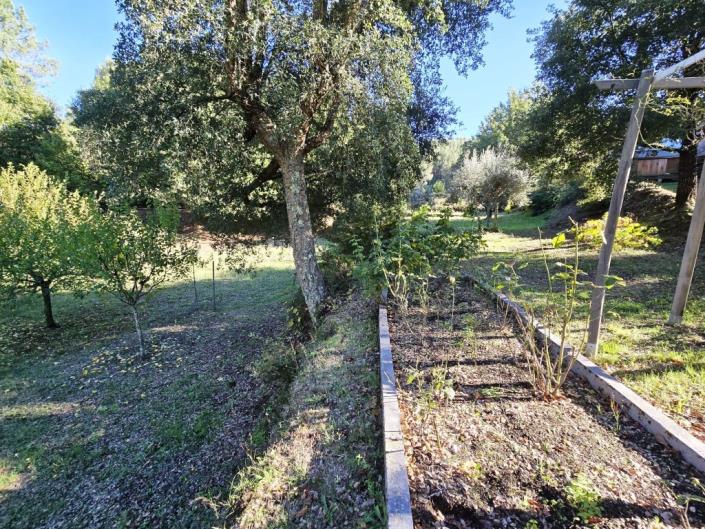 Image No.44-Ferme de 1 chambre à vendre à Pedrógão Grande