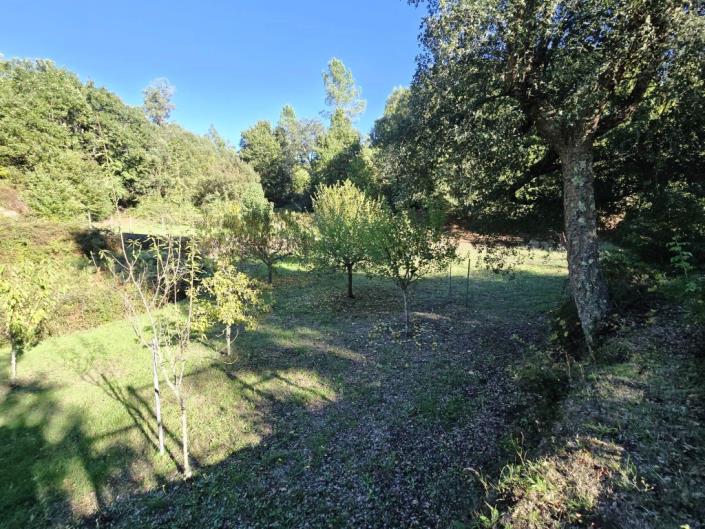 Image No.45-Ferme de 1 chambre à vendre à Pedrógão Grande