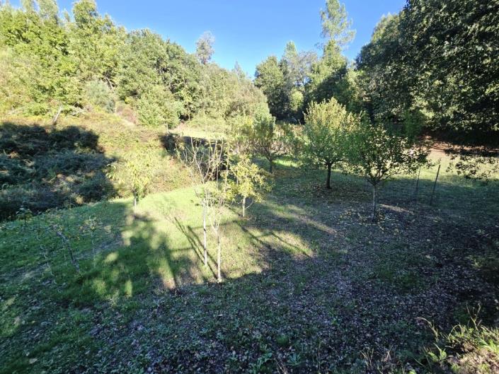 Image No.47-Ferme de 1 chambre à vendre à Pedrógão Grande