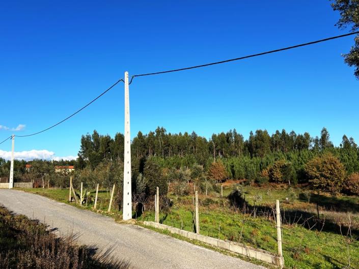 Pedrógão Grande, Land