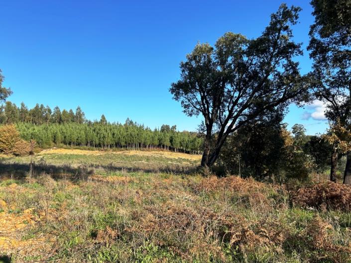 Image No.4-Terre à vendre à Pedrógão Grande