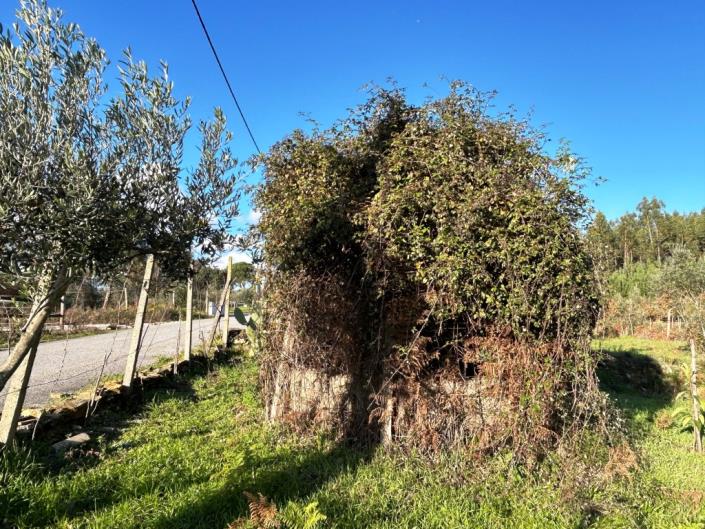 Image No.6-Terre à vendre à Pedrógão Grande