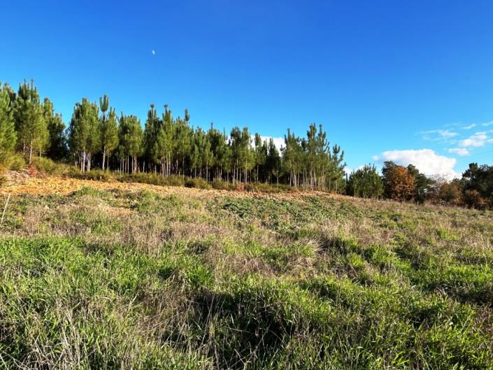 Image No.8-Terre à vendre à Pedrógão Grande