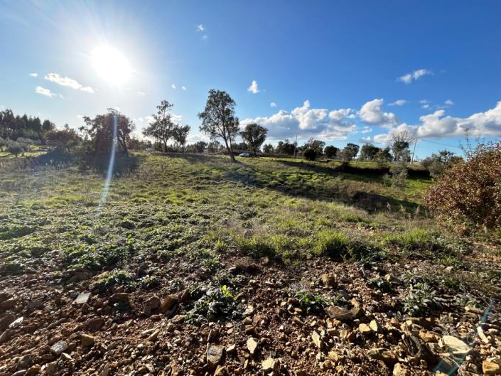 Image No.10-Terre à vendre à Pedrógão Grande