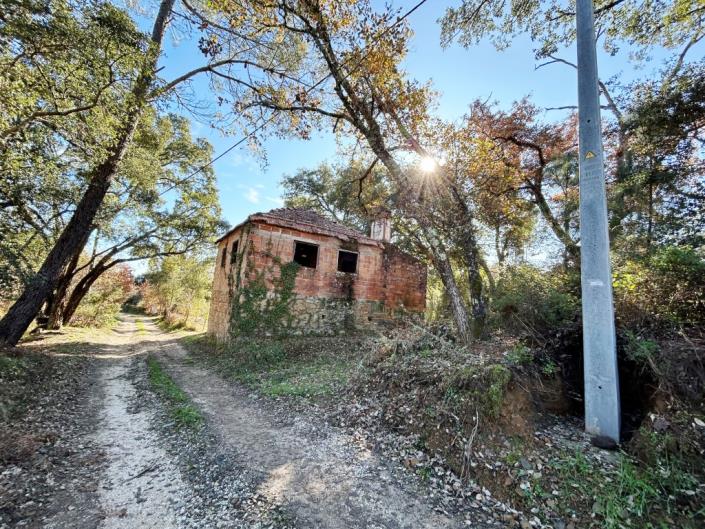 Image No.2-House for sale