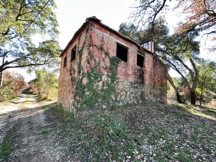 Image No.8-House for sale