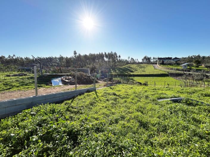 Image No.6-Ferme à vendre à Pedrógão Grande