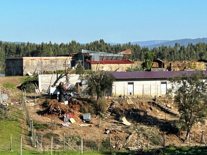 Image No.17-Ferme à vendre à Pedrógão Grande