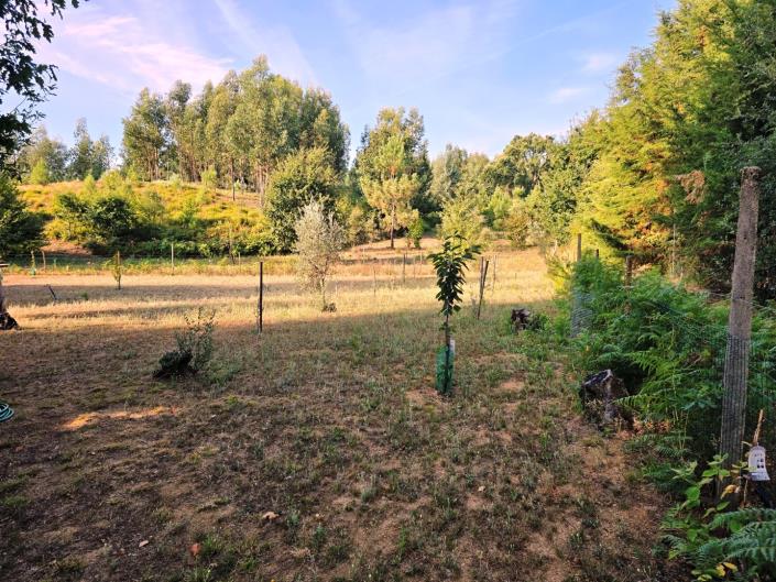 Image No.24-Land for sale