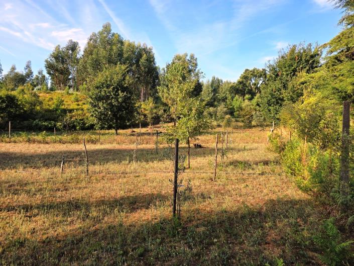 Image No.25-Land for sale