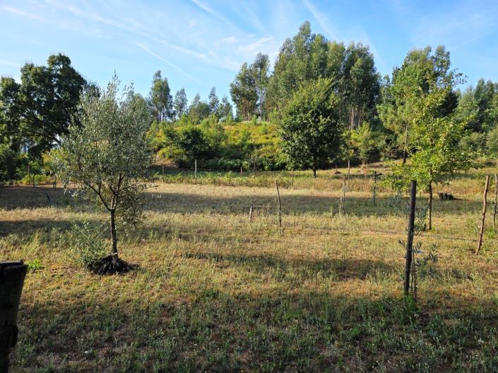 Image No.26-Land for sale