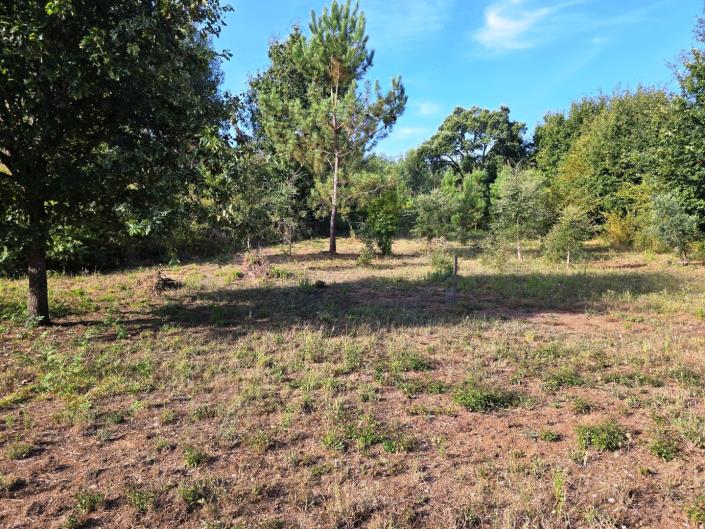 Image No.28-Land for sale