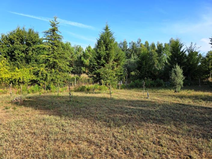 Image No.29-Land for sale