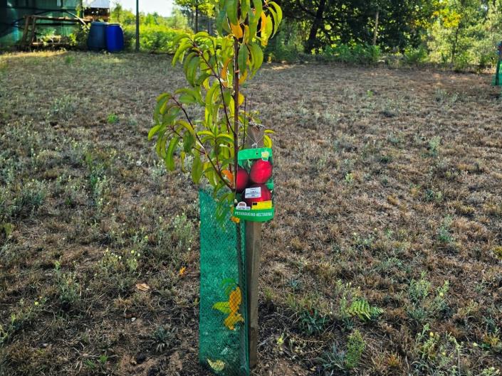 Image No.30-Land for sale