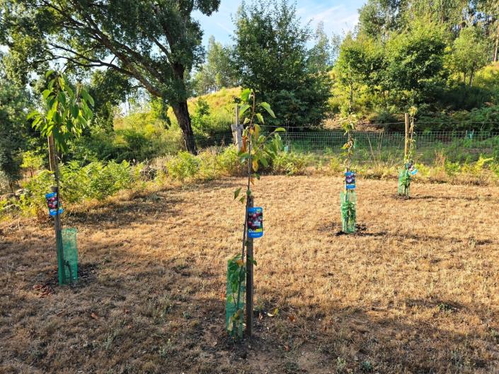 Image No.31-Land for sale