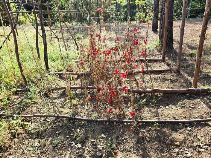 Image No.39-Land for sale